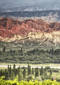 Chañar Punco, el nuevo micro-terroir de los Valles Calchaquíes