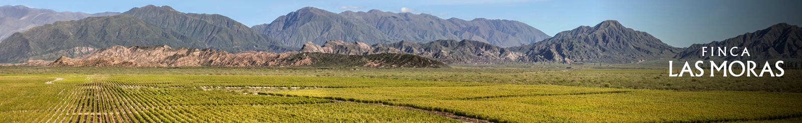 Finca Las Moras